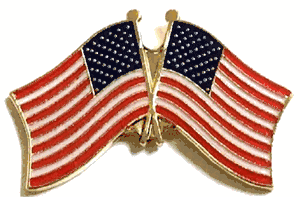 US Double Friendship Flag Lapel Pin<br> Pack of 12