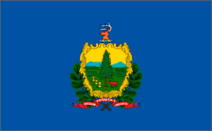Vermont Polyester Flag