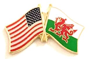 Wales Friendship Pack of 12