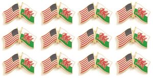 Wales Friendship Pack of 12
