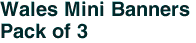 Wales Mini Banners <br>Pack of 3