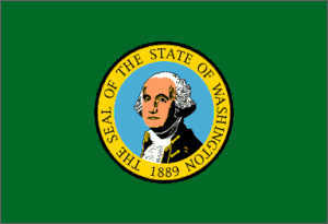 Washington State Nylon Flag