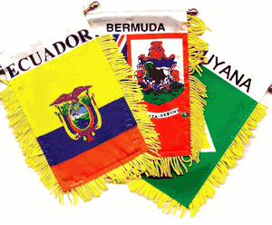 International Mini Banner Flags