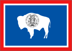 Wyoming Nylon Flag