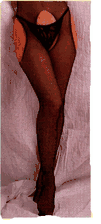 Ladies Fishnet Suspender Hose