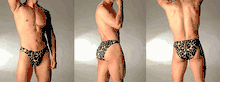 Men's Underwear - Nylon / Spandex Leopard Print Low Rise Bikini - Brief