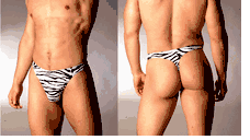 Men's Print Thong Underear - Zebra Print Nylon/ Lycra Thong