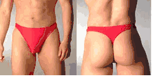 Men's Thong Underwear - Nylon / Lycra