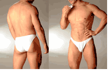  Men's Underwear - Cotton/ Lycra Low Rise Bikini/Brief