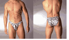 Men's Underwear - Nylon / Lycra Zebra Print Low Rise Bikini / Brief