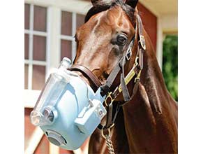 Breathing Aids & Supplements