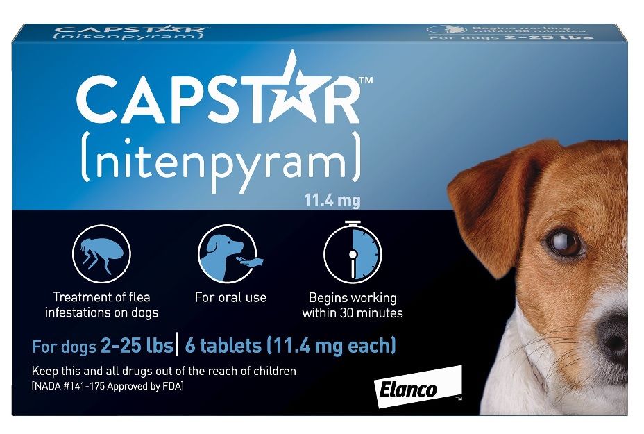 Capstar For Dogs. All Veterinary Supply