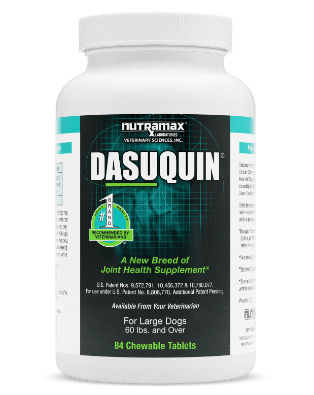 Dasuquin for Large Dogs. All Veterinary Supply