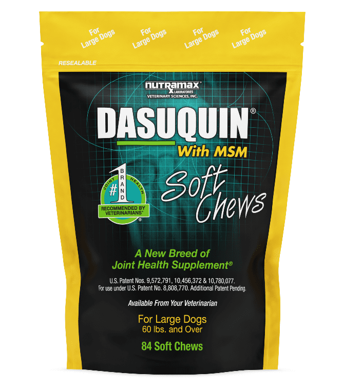Dasuquin Soft Chews w/MSM for dogs. All Veterinary Supply