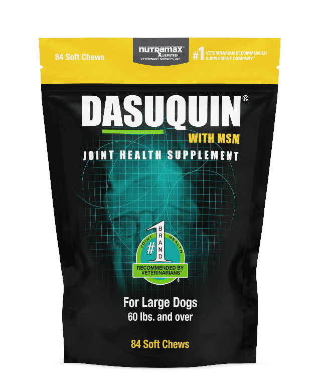 Dasuquin Soft Chews w/MSM for dogs. All Veterinary Supply