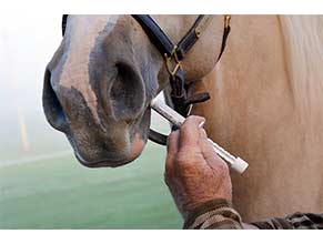 De-Wormers for Horses