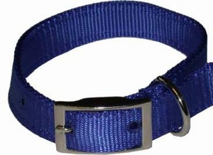 Dog Collars