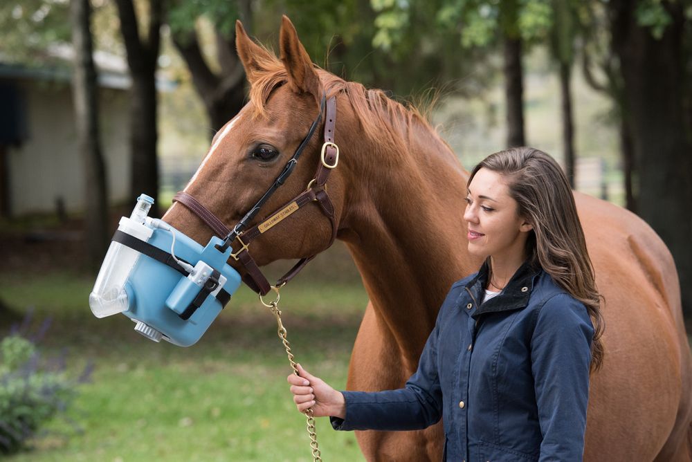 Flexineb E3 Nebulizer for Horses. All Veterinary Supply