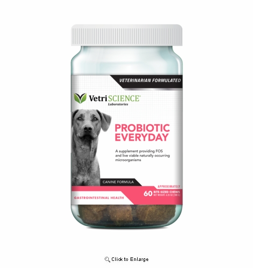 Probiotic Everyday for Dogs, 60ct. All Veterinary Supply
