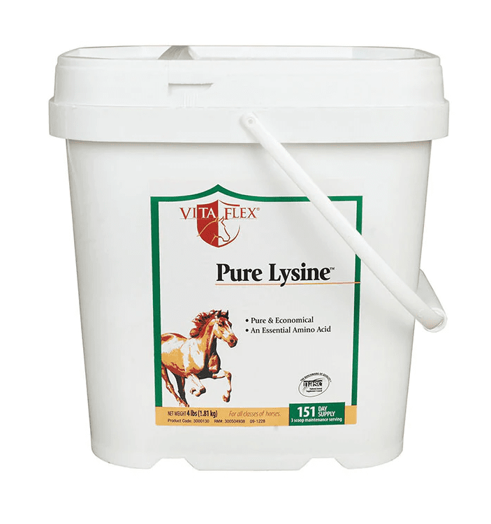 Pure Lysine for Horses.All Veterinary Supply