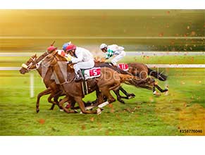 Racing/Energy/Electrolyte Supplements for Horses