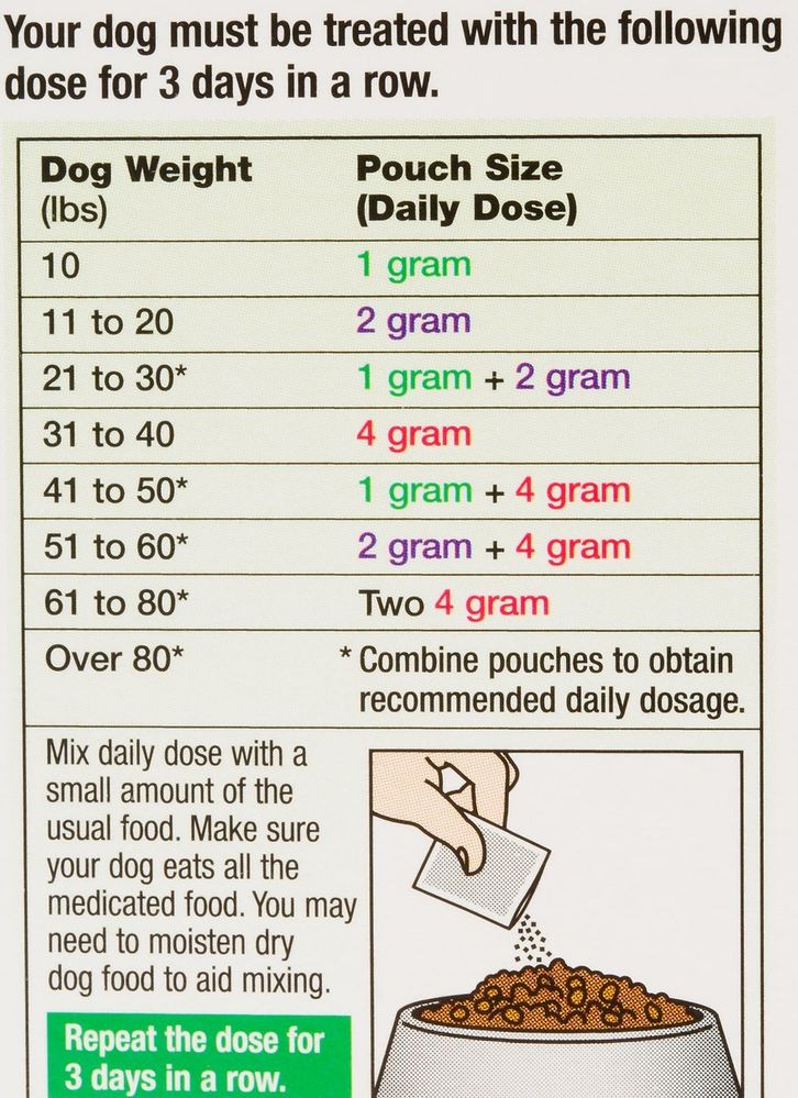 SafeGuard Dewormer 4gm for Dogs. All Veterinary Supply