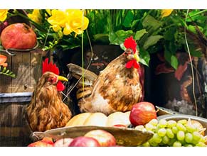 Vitamins/Supplements