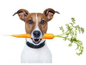 Vitamins & Supplements