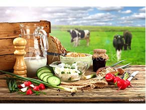 Vitamins/Supplements for Cattle