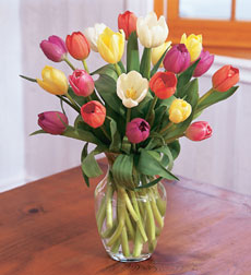 10 Tulips   $39.00