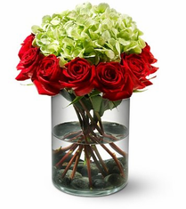 12 ROSES  Delightful Dozen