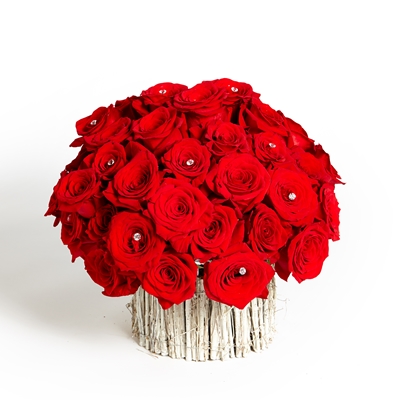 18 Large  Red Roses long stem