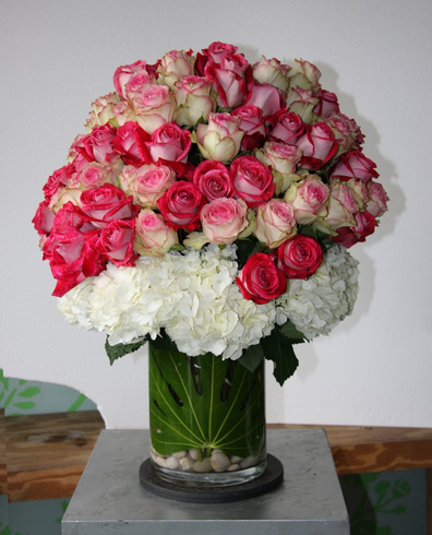 special Design 