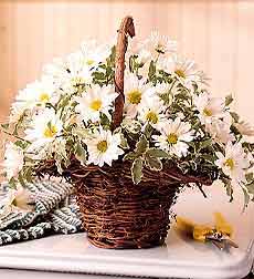 Basket Full of Daisies