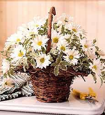 Basket Full of Daisies