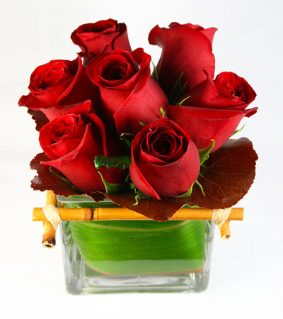 ROSES  Sun Blushed Bouquet