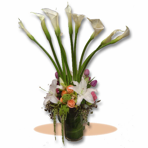 calla lillys