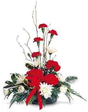 CHRISTMAS  FLOWERS  