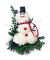 Christmas  flowers Gifts