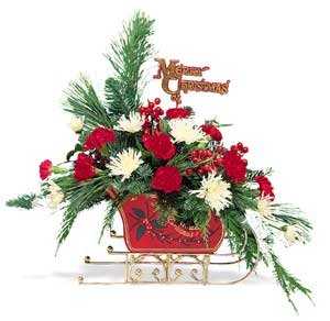 CHRISTMAS FLOWERS IN SLEIGH
