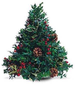  christmas  treeFX 4702