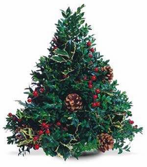  christmas  treeFX 4702