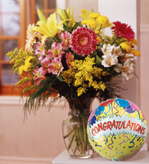 Congratulations Boka