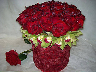 Contemporary Rose Dozen Compact