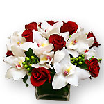 Cynbidium Orchid & Roses 