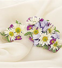 Daisy Corsage & Boutonniere