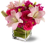 Daydream in Square Vase Arrangement