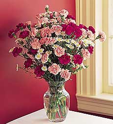 Dozen Mini Carnations in Vase $40.00