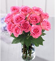 Dz  PINK Roses 