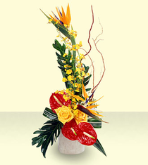 Exotic Birds of Paradise & Anturium Exotic Birds of Paradise & Anturium